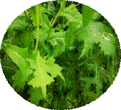 微信图片_202108190957231